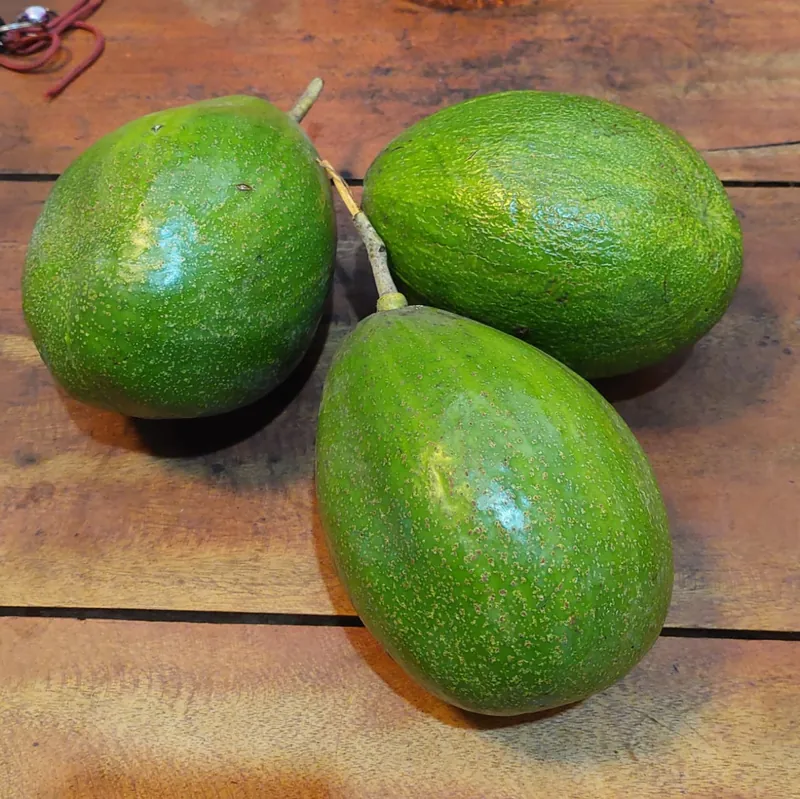 Tiga buah alpukat mentega berwarna hijau di atas meja kayu